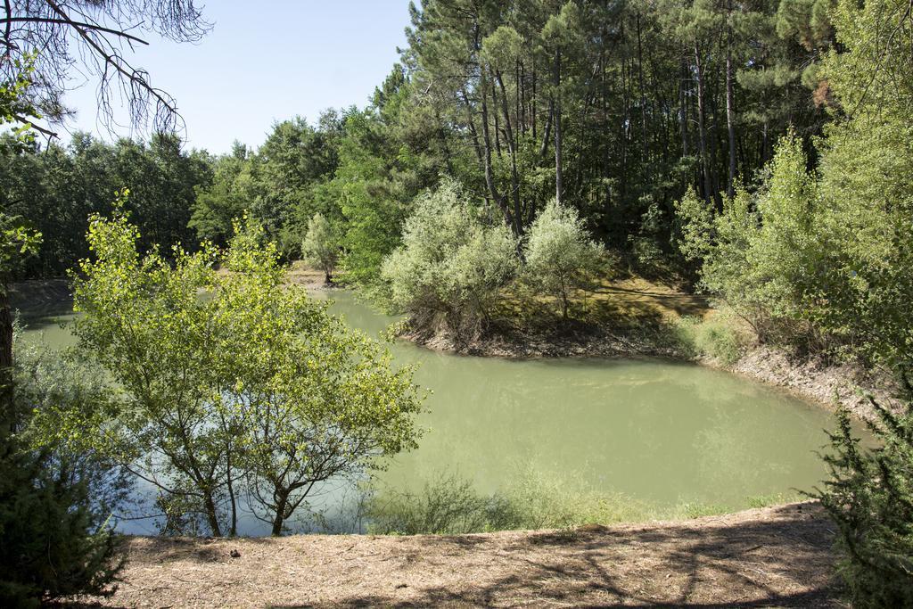 La Casa Nel Bosco Holiday home